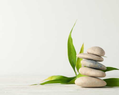 Zen Steine als Symbolbild für BioLogisches Heilwissen